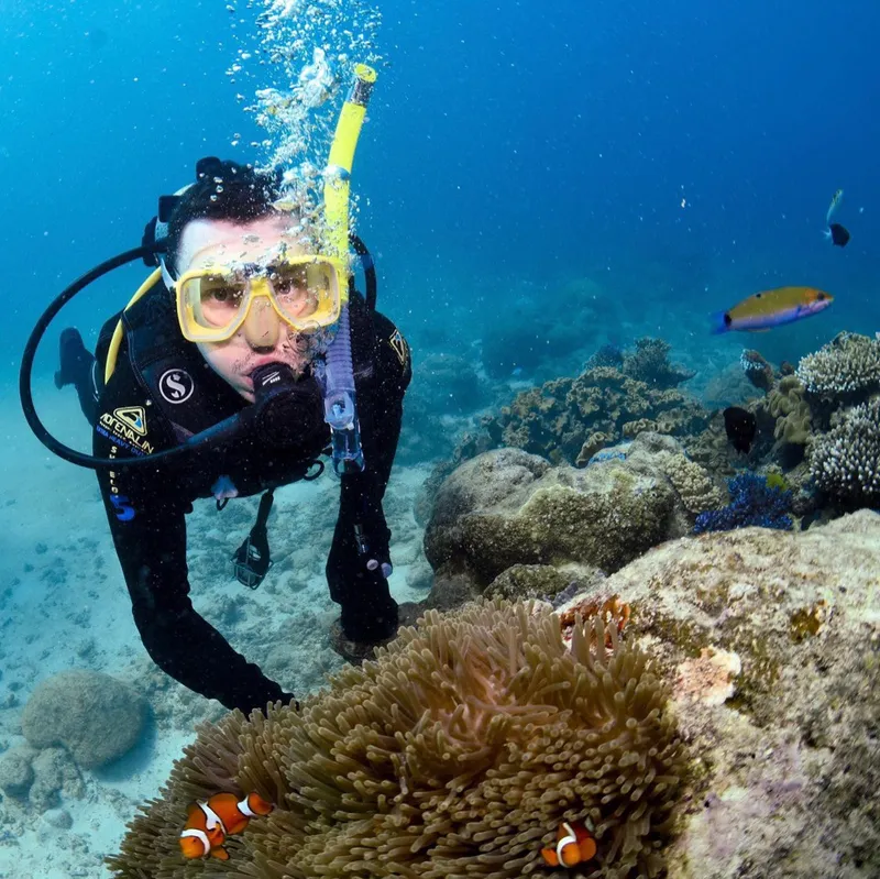 Дайвинг у Большого Барьерного рифа в Австралии — кораллы и рыбы-клоуны